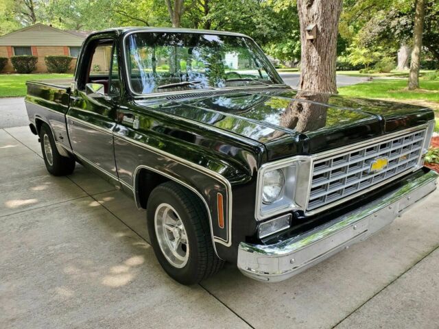 Chevrolet Silverado 1975 image number 1