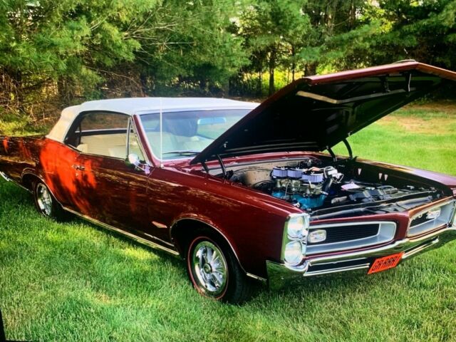 PONTIAC GTO 1966 image number 19