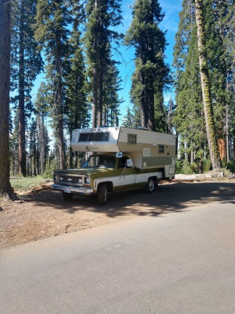 Chevrolet C10 Pickup 1973 image number 6