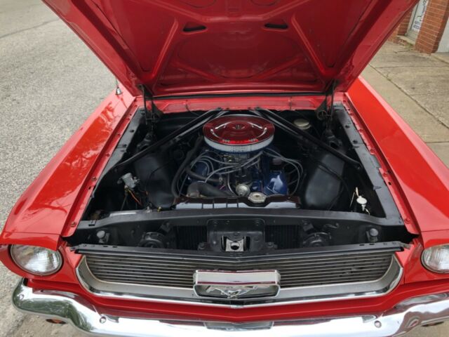 Ford Mustang 1966 image number 30