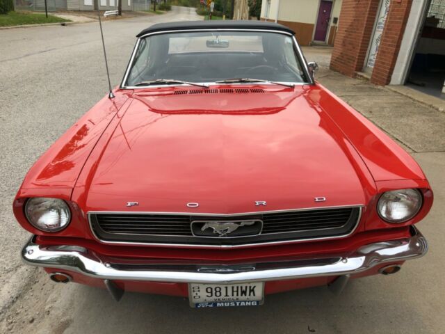 Ford Mustang 1966 image number 8