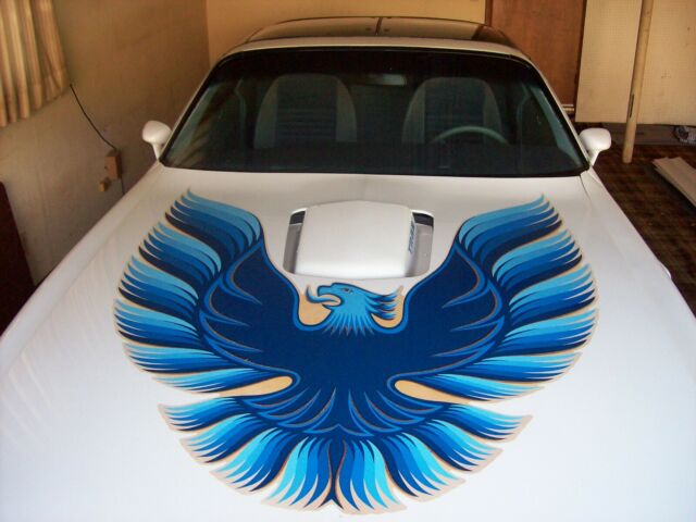 Pontiac Trans Am 1979 image number 27