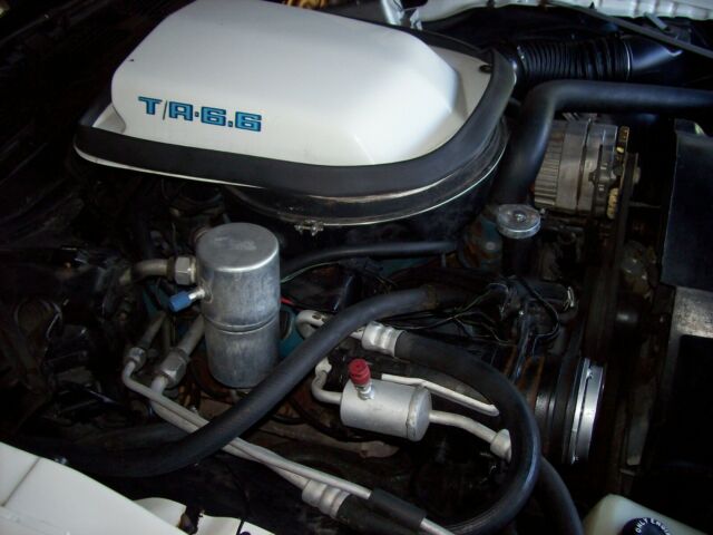 Pontiac Trans Am 1979 image number 33