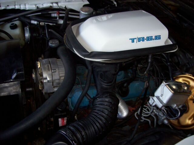 Pontiac Trans Am 1979 image number 8