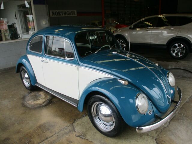 Volkswagen Beetle - Classic 1966 image number 2