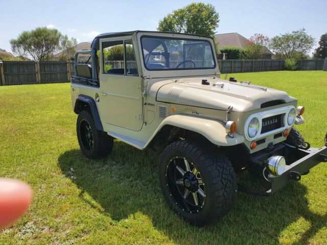 Toyota Land Cruiser 1968 image number 17