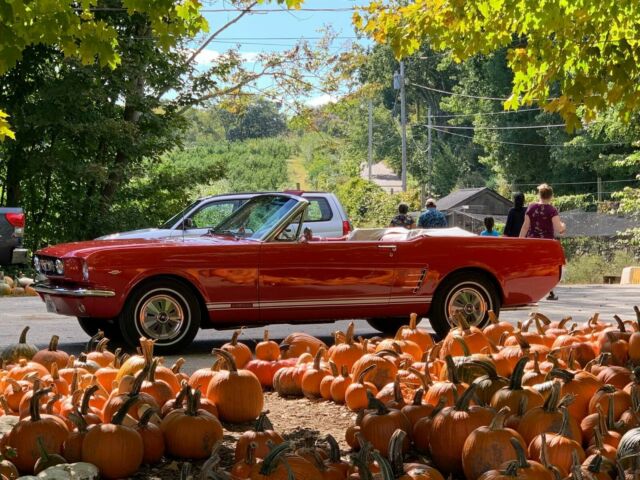 Ford Mustang 1966 image number 0