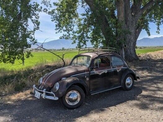 Volkswagen Beetle - Classic 1961 image number 0