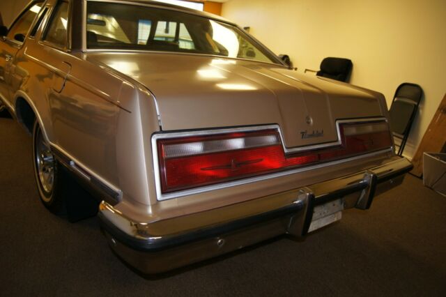 Ford Thunderbird 1978 image number 10