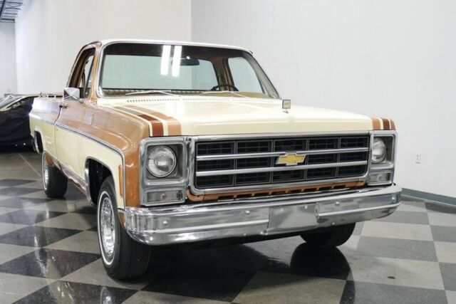 Chevrolet C-10 1979 image number 18