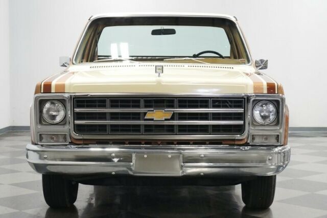 Chevrolet C-10 1979 image number 19