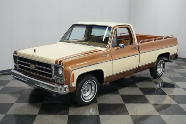 Chevrolet C-10 1979 image number 21