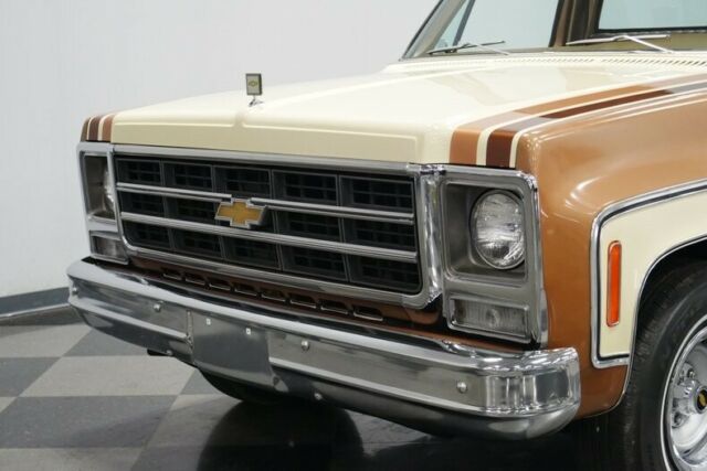 Chevrolet C-10 1979 image number 22