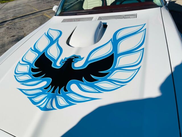 Pontiac Trans Am 1974 image number 11