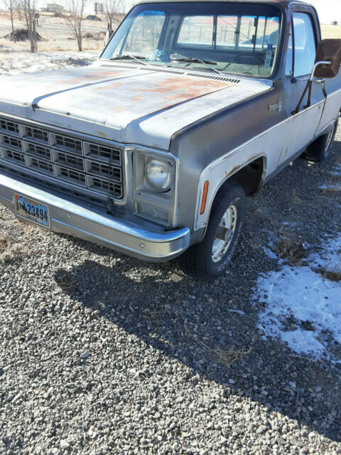 Chevrolet C/K Pickup 1500 1979 image number 11