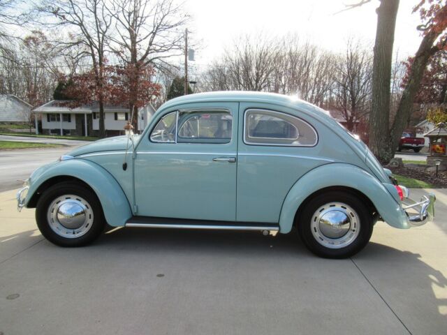 Volkswagen Beetle - Classic 1964 image number 2