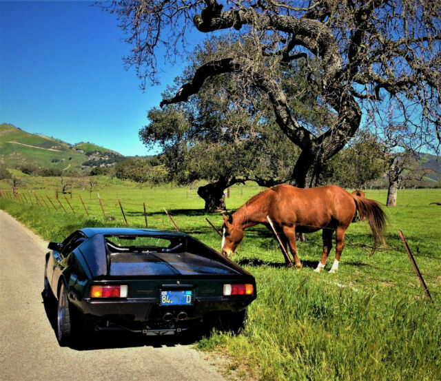 De Tomaso Pantera 1972 image number 14