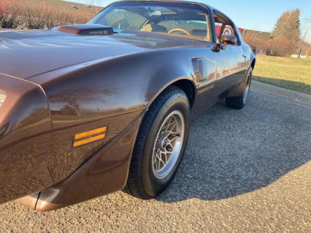 Pontiac Trans Am 1979 image number 15