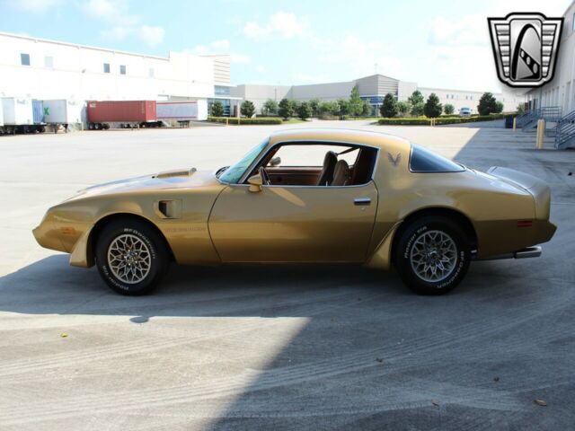 Pontiac Firebird Trans-Am 1979 image number 22