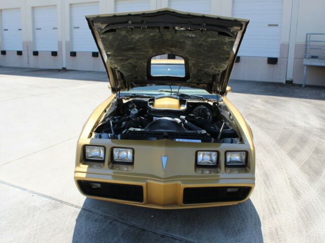 Pontiac Firebird Trans-Am 1979 image number 33