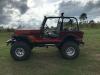 1979 Jeep CJ