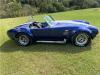 1965 Hurricane Shelby Cobra