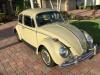 1966 Volkswagen Beetle - Classic