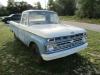 1966 Ford F-100