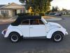 1979 Volkswagen Beetle - Classic