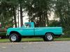 1966 Ford F-100