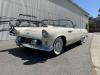 1955 Ford Thunderbird