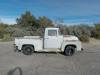 1956 Ford F-100