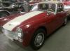 1966 Austin Healey Sprite