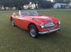 1963 Austin Healey 3000