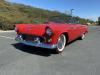 1955 Ford Thunderbird