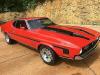 1971 Ford 429 Cobra Jet Mach 1