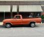 1978 Ford F-150