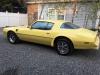 1977 Pontiac Firebird Trans Am