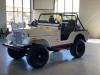 1976 Jeep CJ