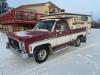 1979 Chevrolet C-10