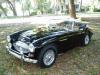 1966 Austin Healey 3000