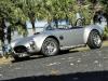 1966 Shelby Cobra