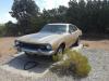 1973 Ford Maverick