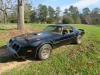 1979 Pontiac Trans Am