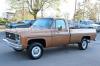 1979 Chevrolet C/K Pickup 1500