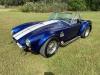 1965 Hurricane Shelby Cobra