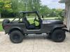 1979 Jeep CJ