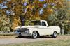 1961 Ford F-100