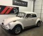 1977 Volkswagen Beetle-New