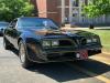 1977 Pontiac Trans Am